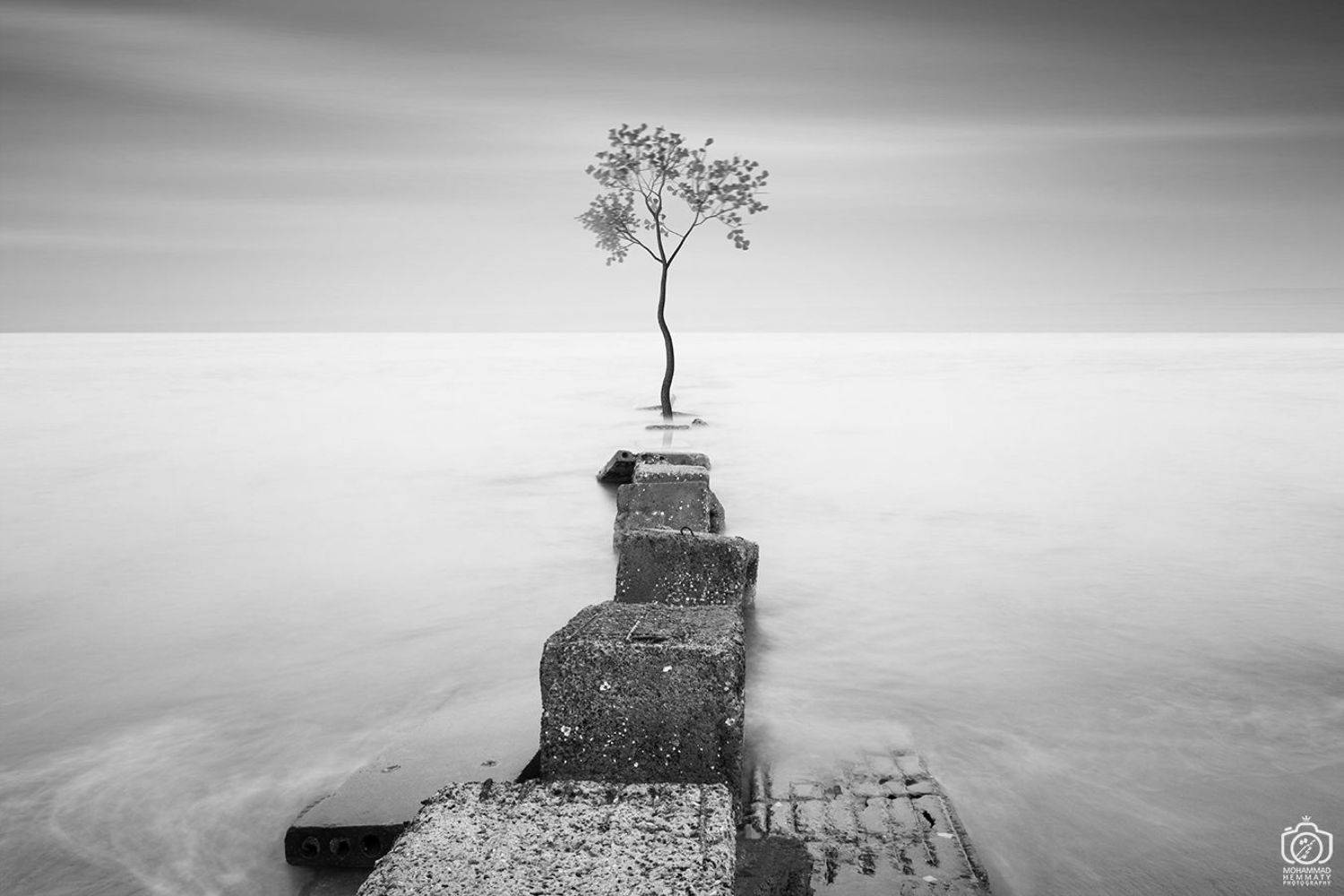 longexposure,photo,photography,tree,fineart,dream,sky,sea,canon,canon80d,canonphotography,blackandwhite,nature,clouds, Mohammad Hemmaty