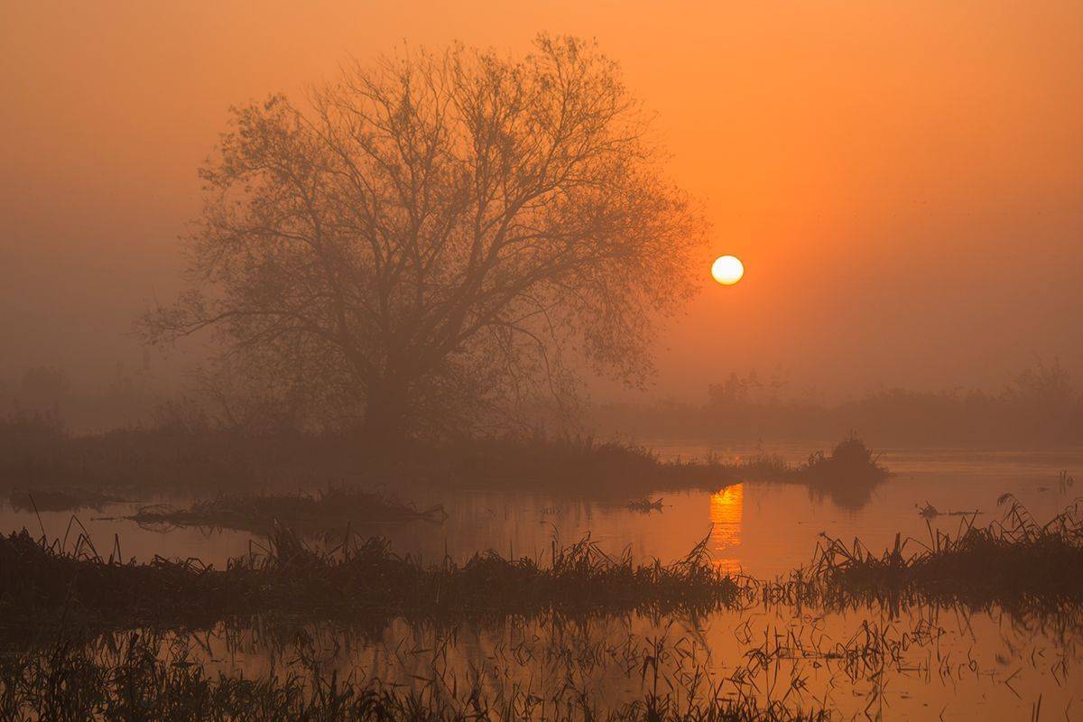 , Pawel Plucinski