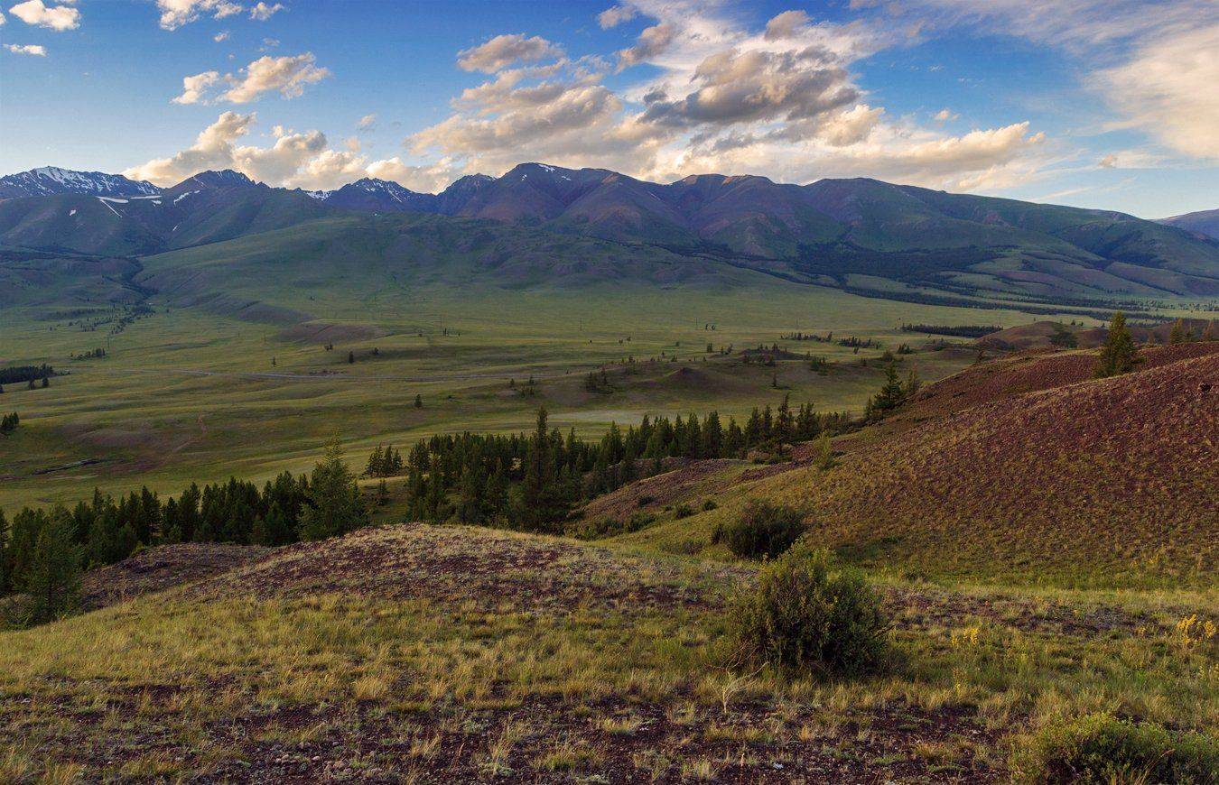 , Дмитрий Д.