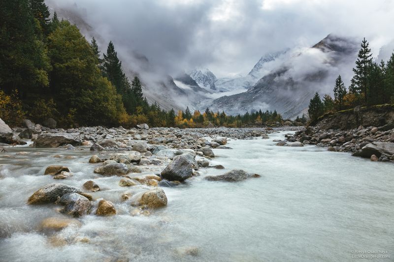 Кавказ, горы, туман, осень, река, Алания, Караугом Туманное утро фото превью