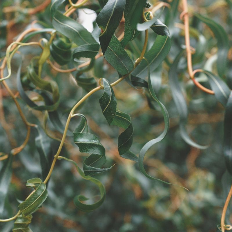 пачка осени фото превью