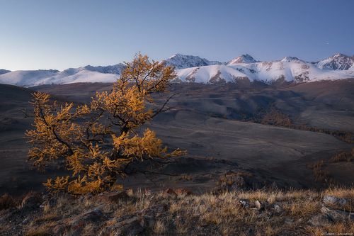 Курайский хребет