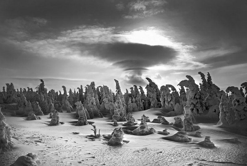 10 работ из портфолио фото превью