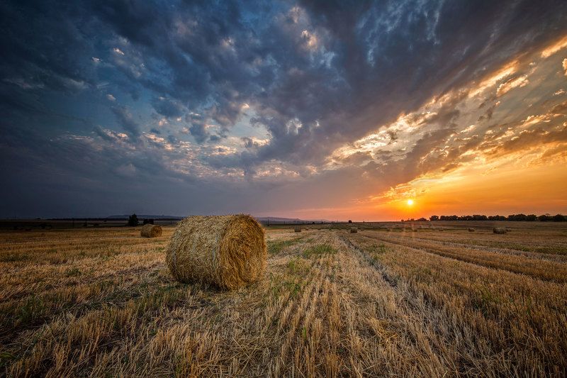 закат в поле фото превью