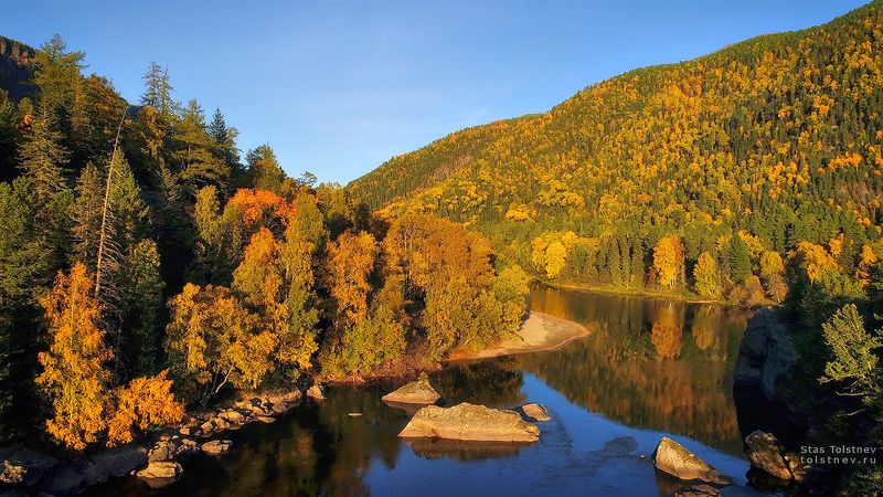 Алтайсоке золото. фото превью