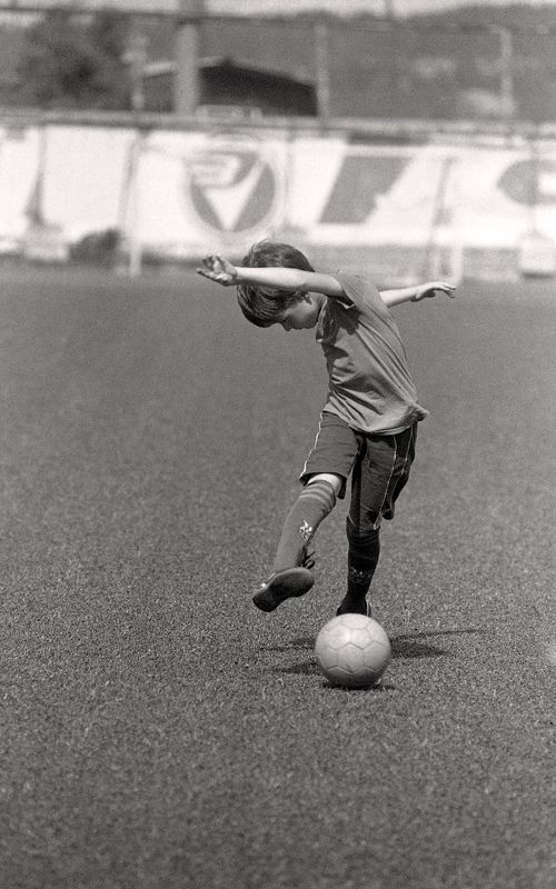 В черно белых тонах. фото превью