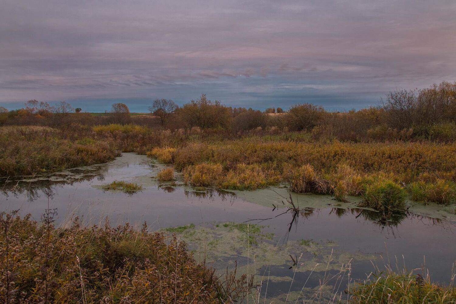 , Александр