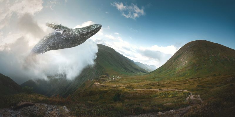 Wave фото превью