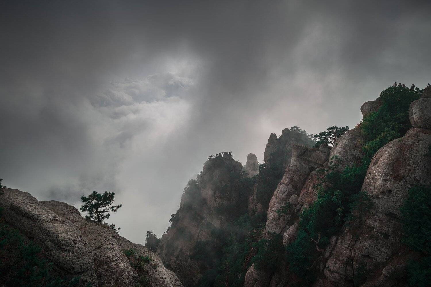 , Ильин Александр