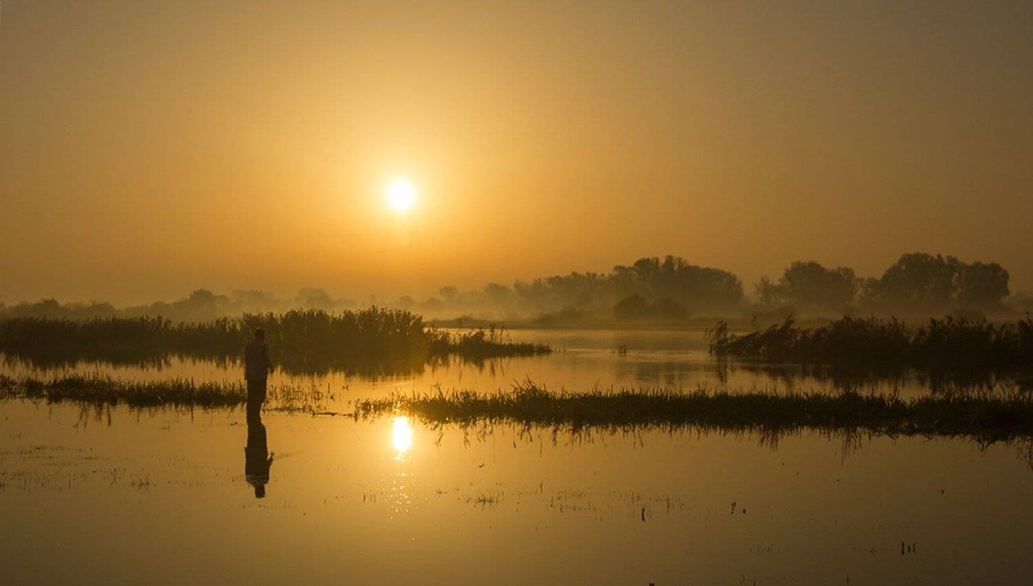 , Pawel Plucinski