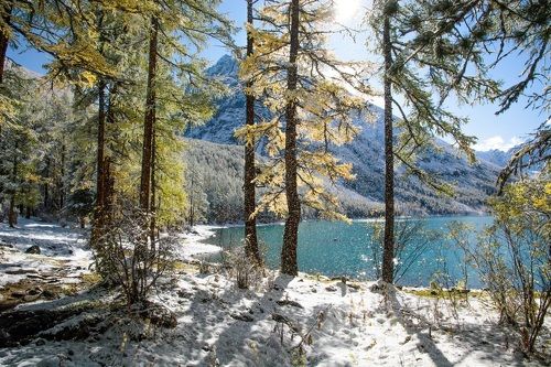 магия солнечного света