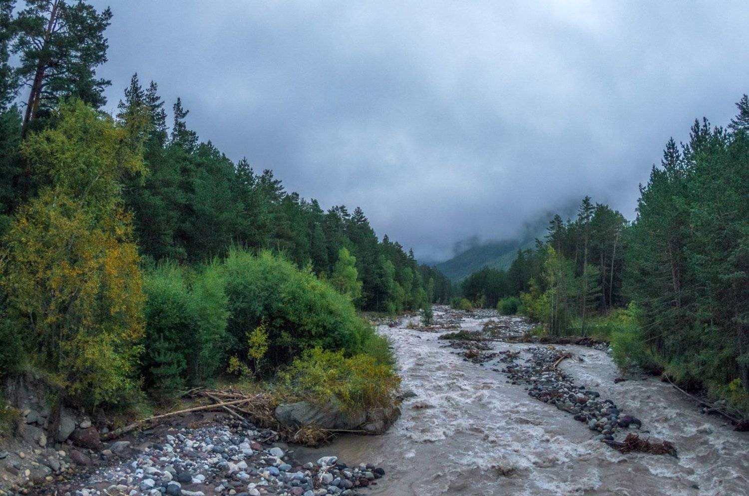 , Игорь Мелекесцев