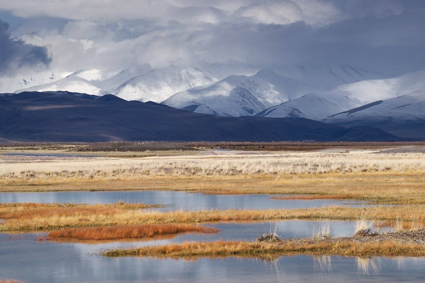 алтай, горы, осень, чуйскаястепь, Владимир Ляпин