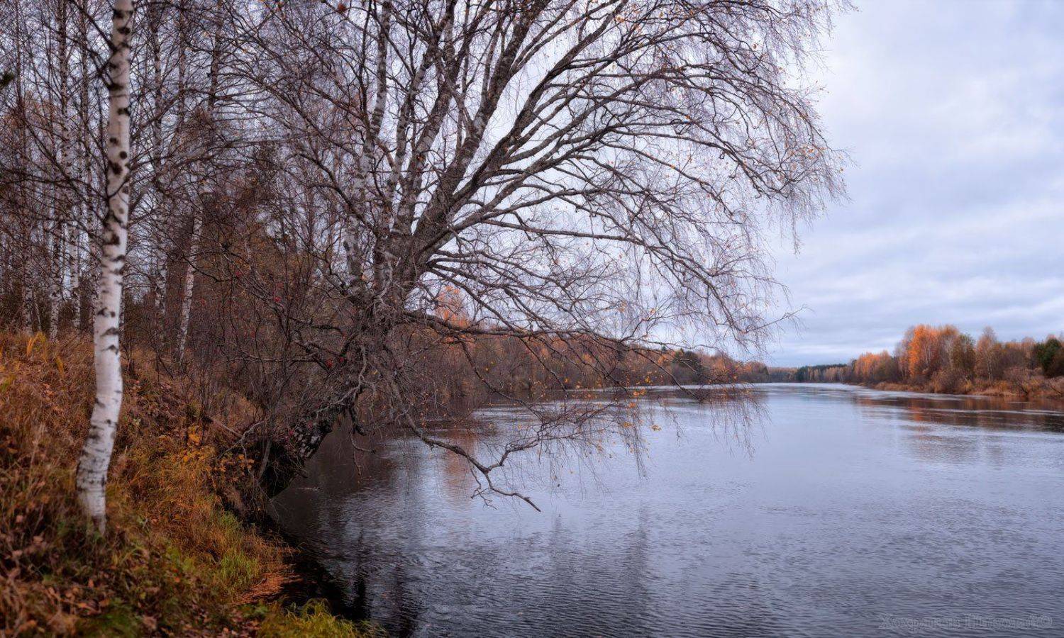 , Хохряков Николай