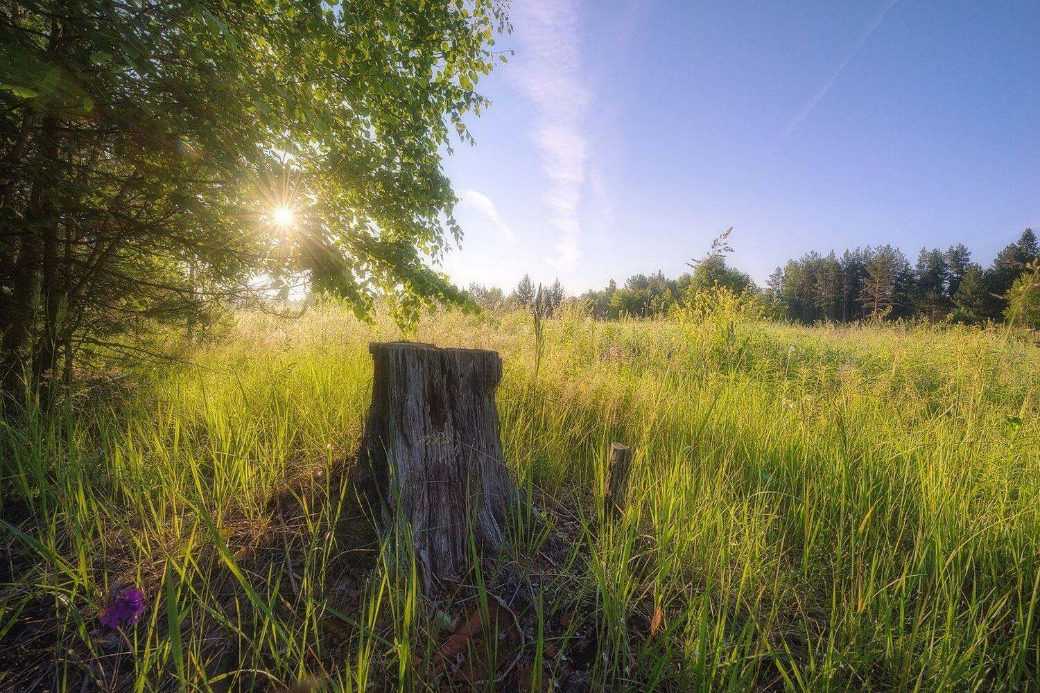 , Устюжанин Михаил