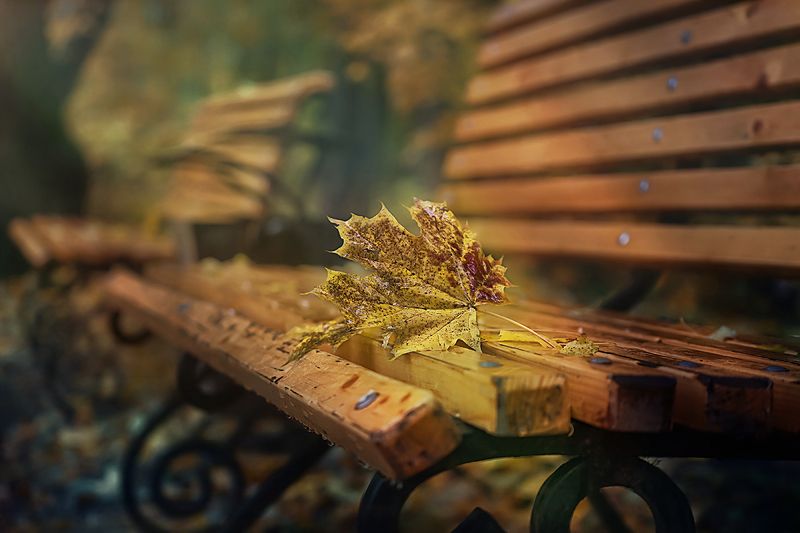 Осеннее... фото превью