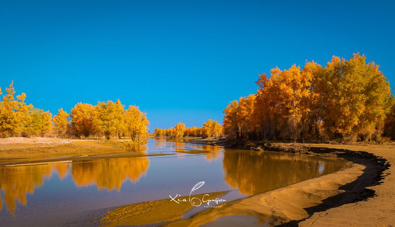 柬埔寨风光 free фото превью