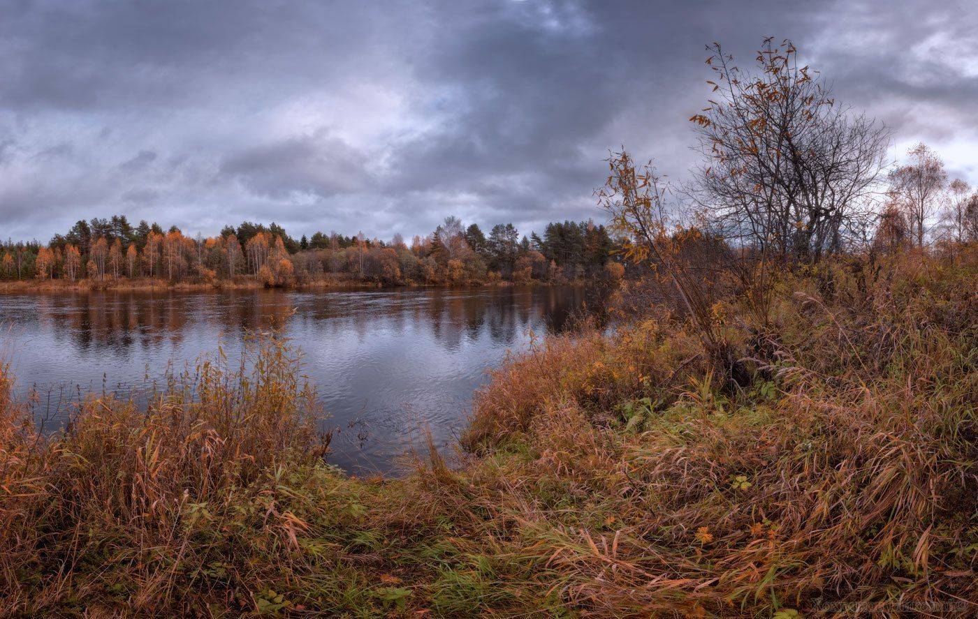 , Хохряков Николай