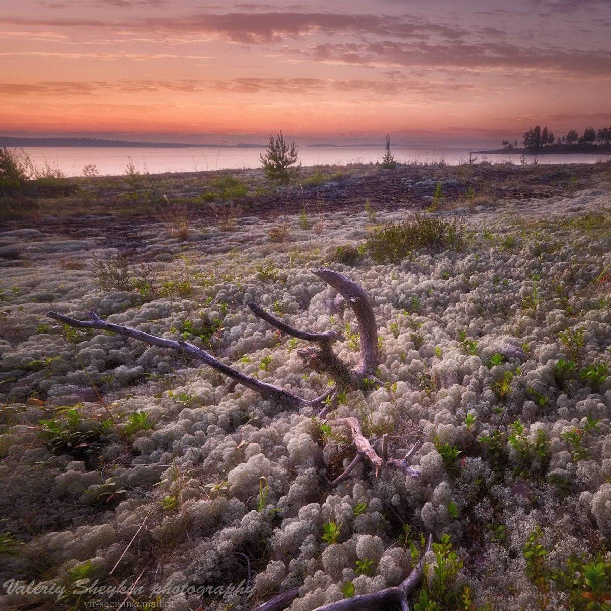 , Валерий Шейкин