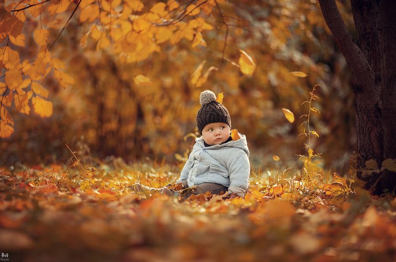 Степаша фото превью