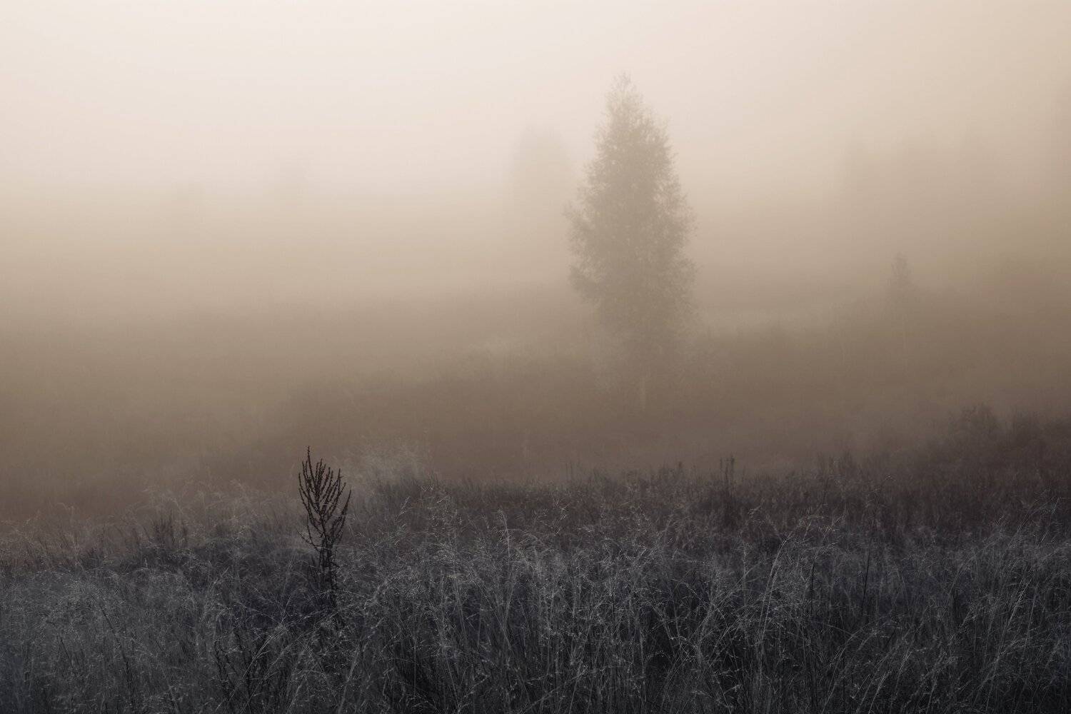 , Виктор Кириллов