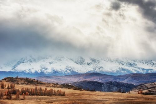 Алтай хмурится / Курайская степь