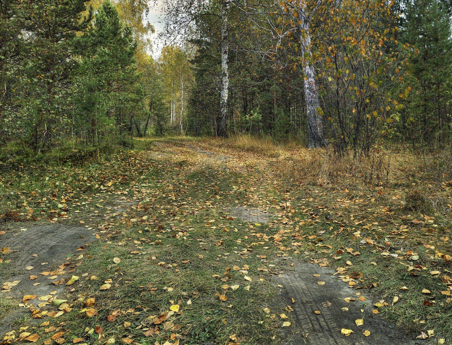 , Бусыгин Борис