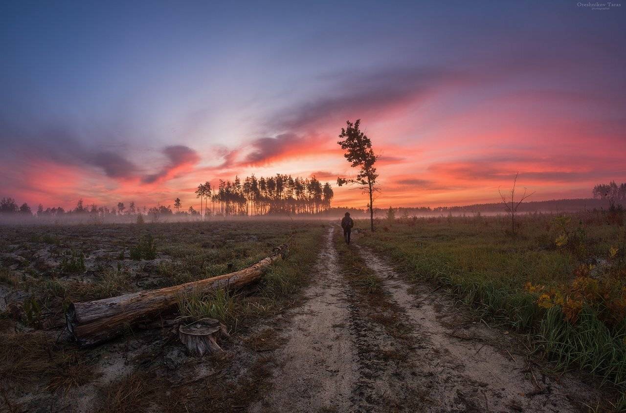 пейзаж,природа,утро,осень,рассвет, Taras