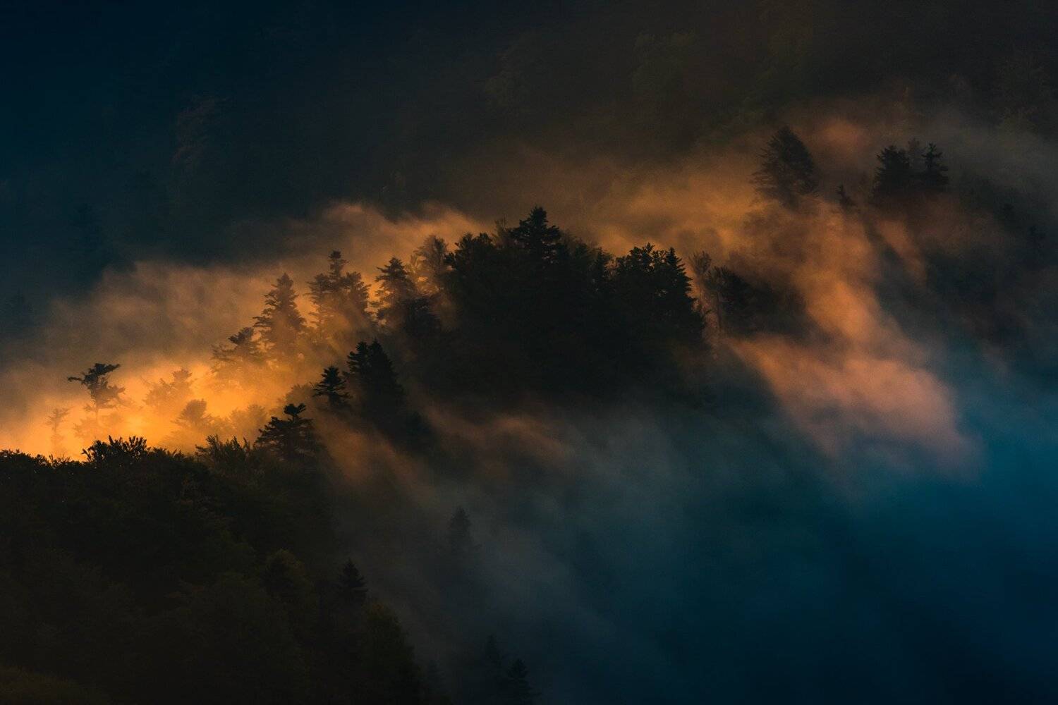 , Łukasz Sok&oacute;ł