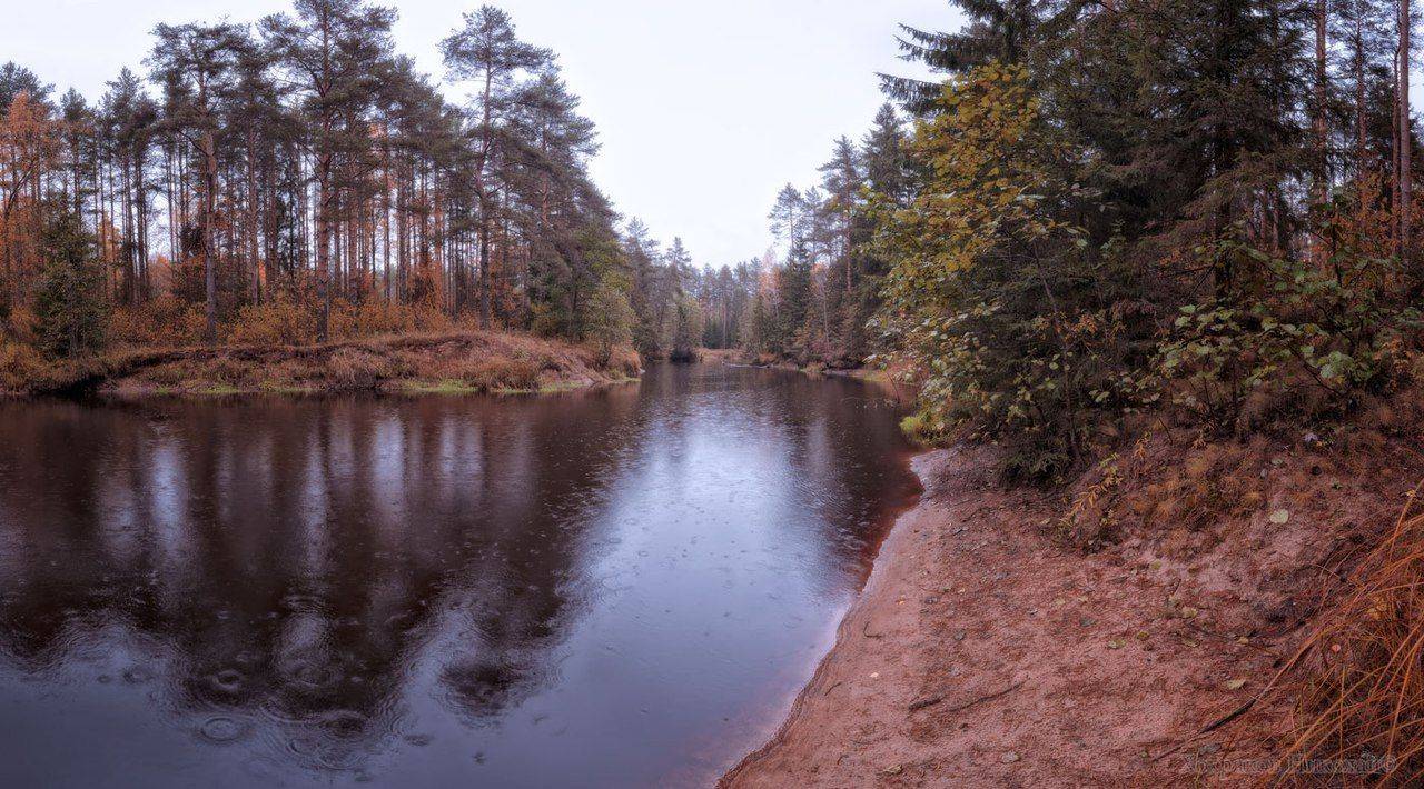 , Хохряков Николай