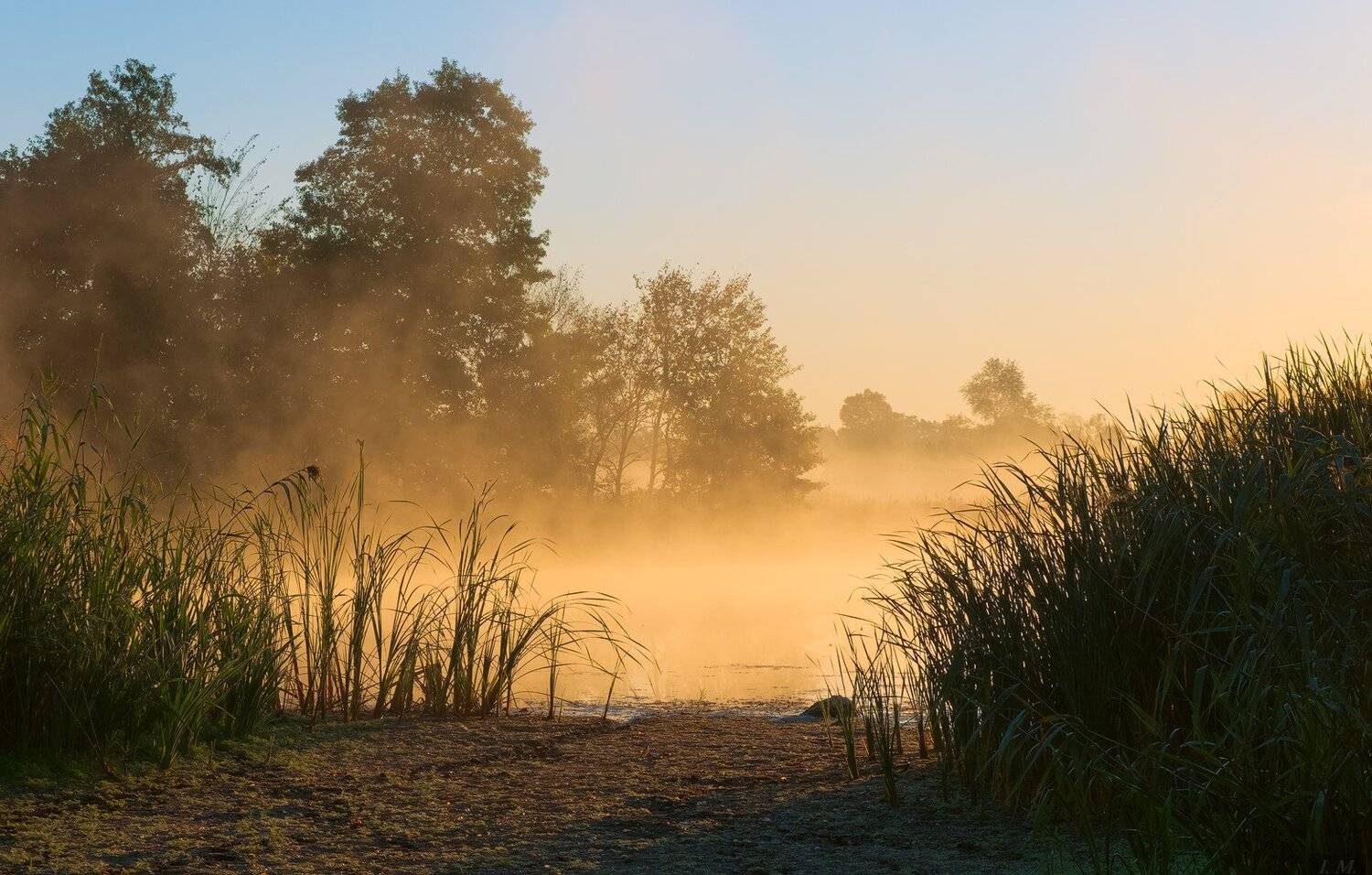 Misty, foggy, autumn, dawn, fog, morning, sunrise, озеро, осень, туман, Утро, свет, I'M