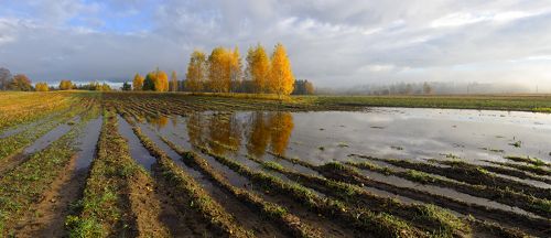 Осень на селе