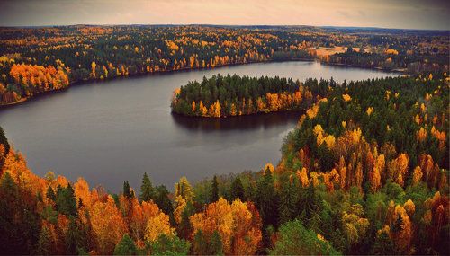 парк Ауланко