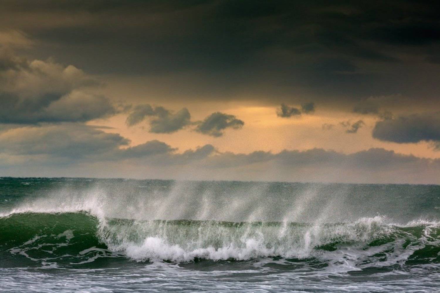 , Андрей Гусаченко