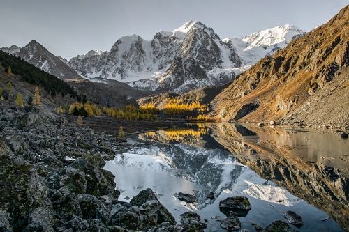 застывшее мгновение утра