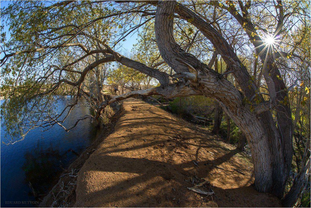 Казахстан, Бектауата, , Кутыгин Эдуард