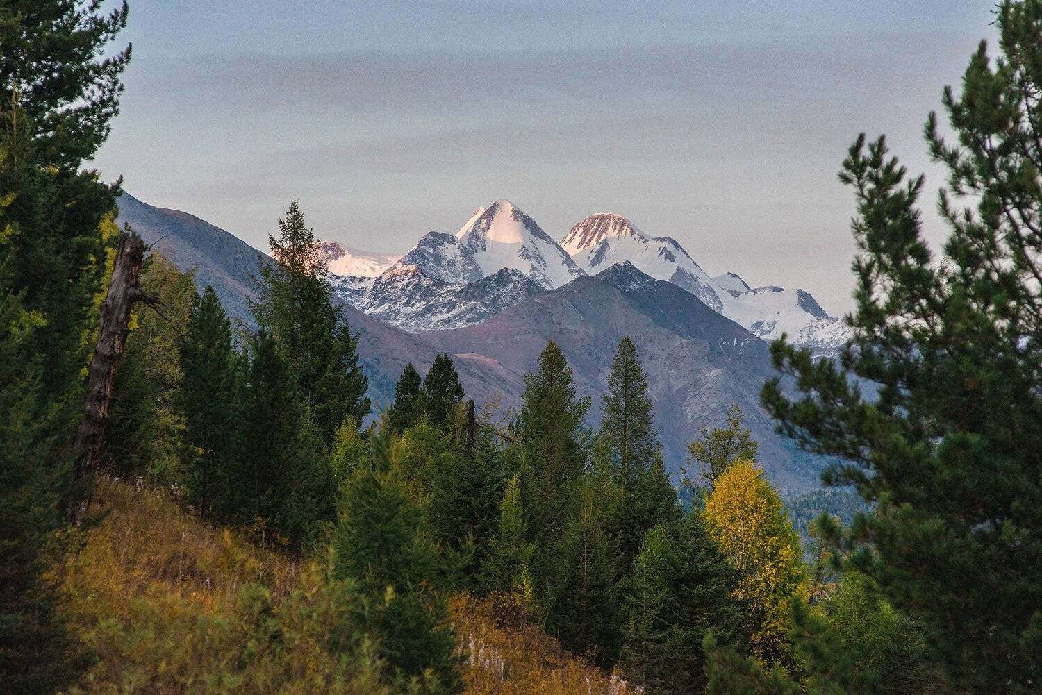 , Илья Афанасьев