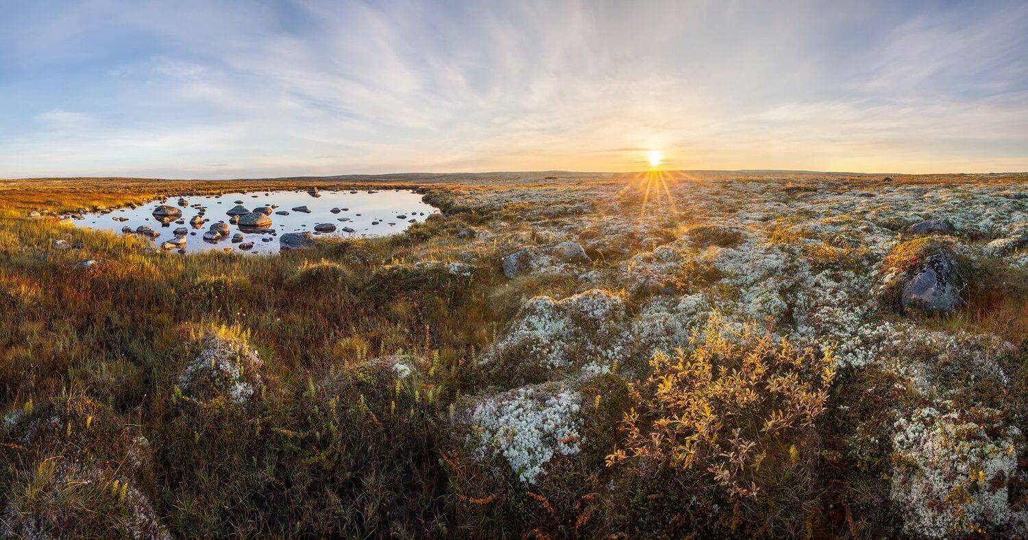 тундра, русская арктика, север, кольский полуостров, мурманская область, териберка, дальние зеленцы, Арсений Кашкаров