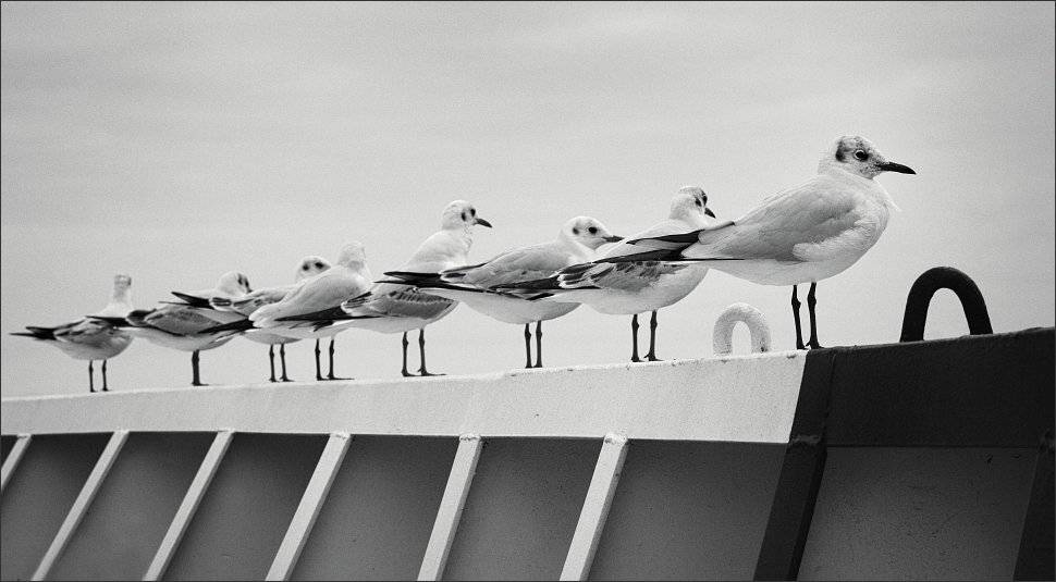 , Сергей Фудиненко