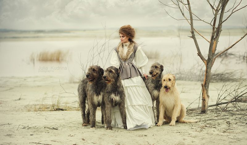 волкодав *** фото превью