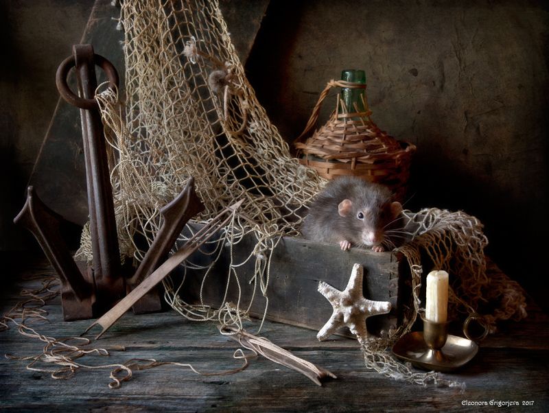 Прощальная фото превью