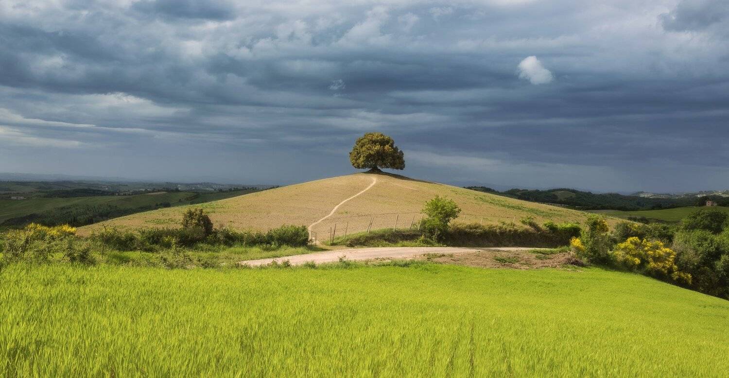 italy, tuscany, италия, Андрей Чабров