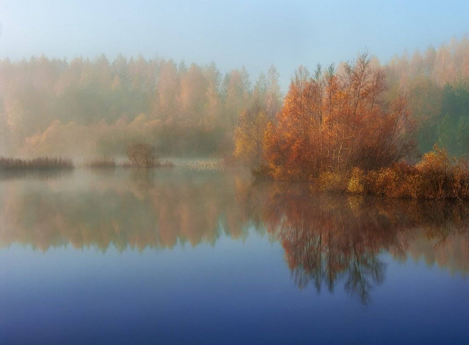 , Justinas Kondrotas