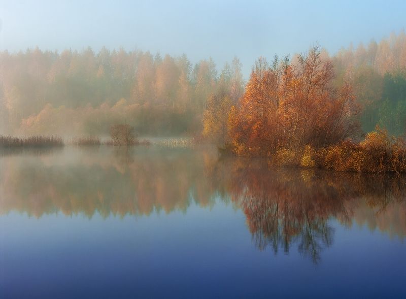 The middle of autumn фото превью