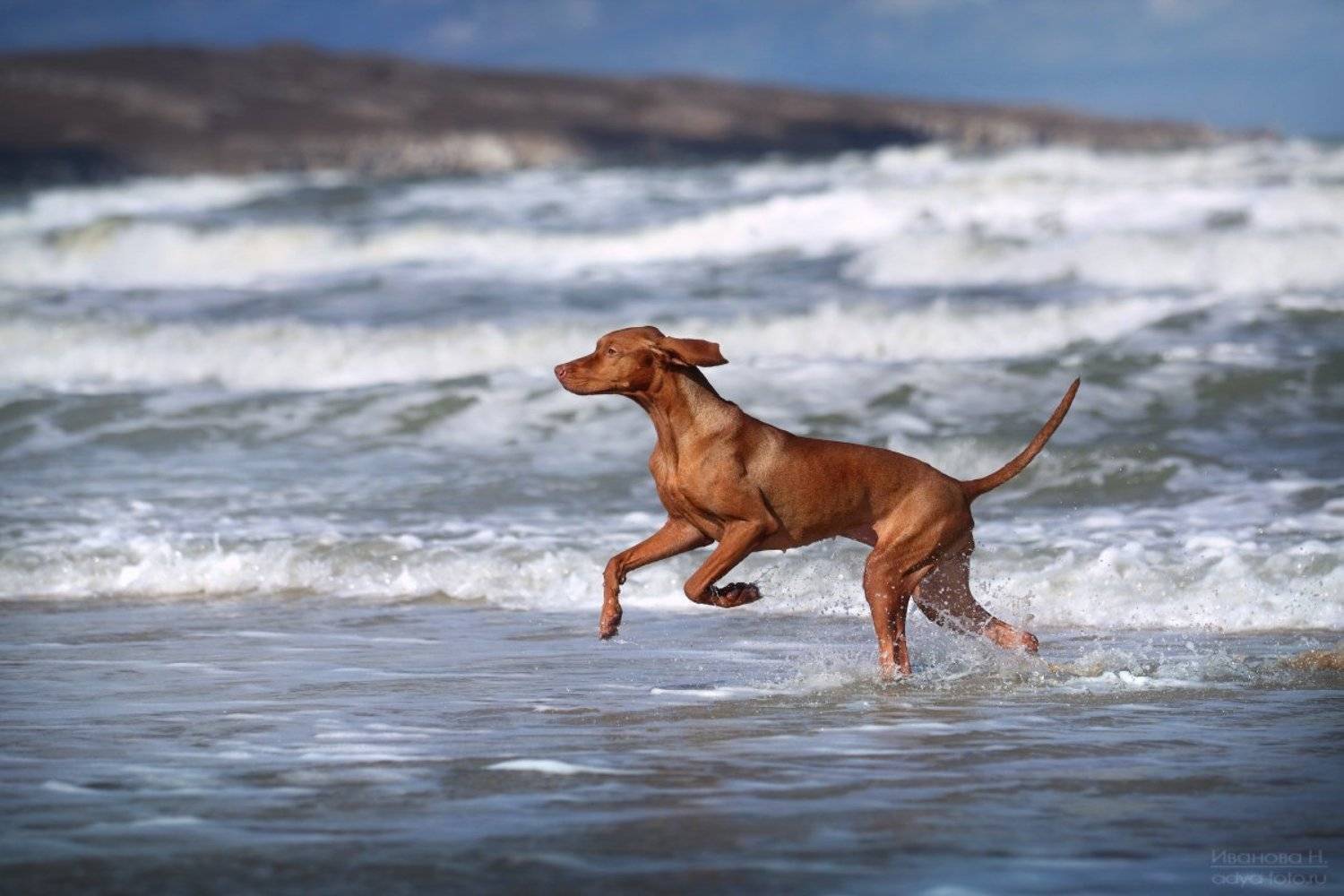 , Надежда Иванова