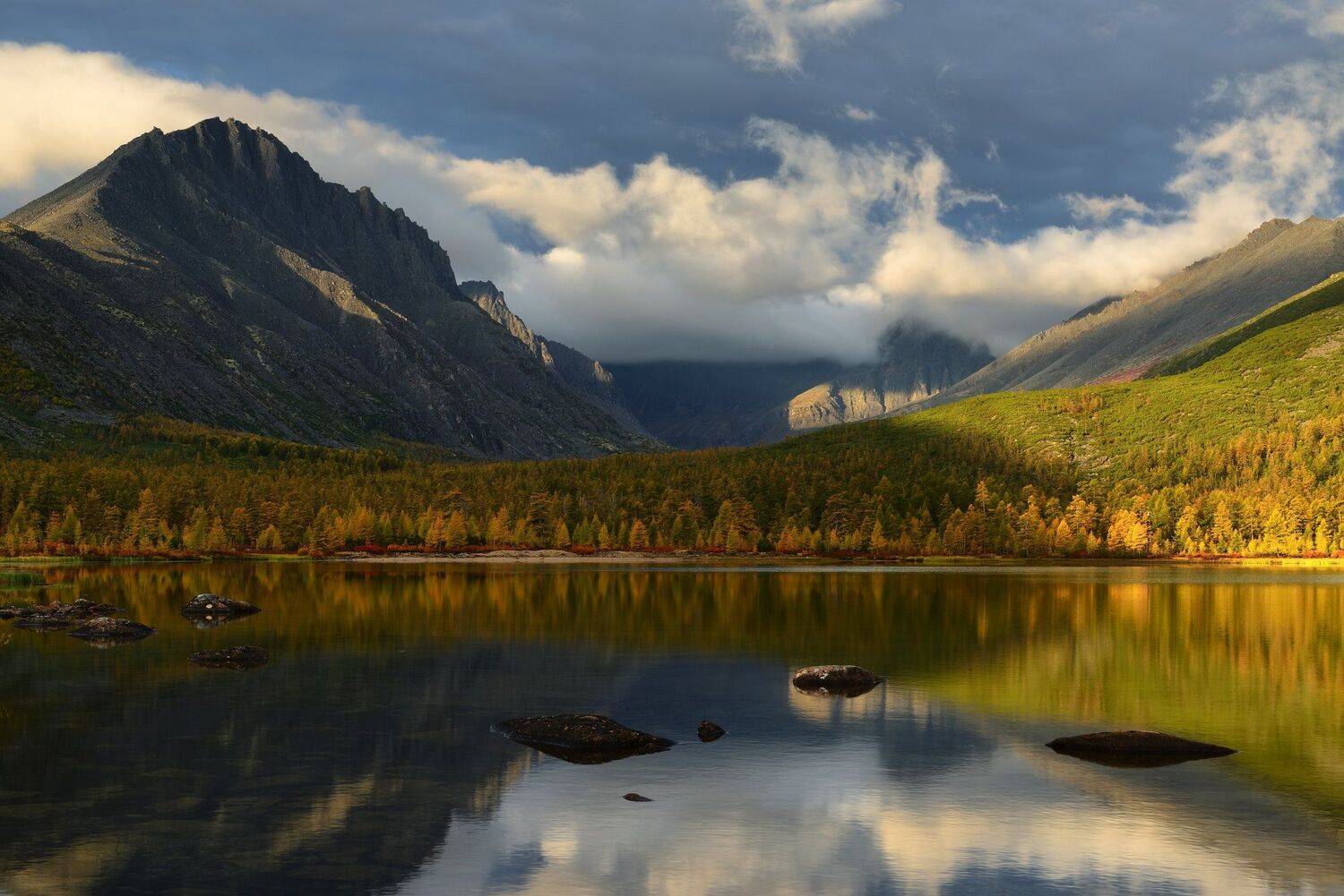 , Максим Евдокимов (www.wildphotorus.ru)