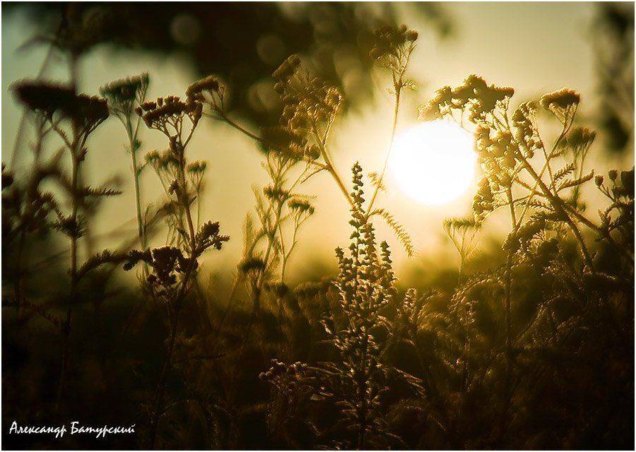 , Александр Батурский