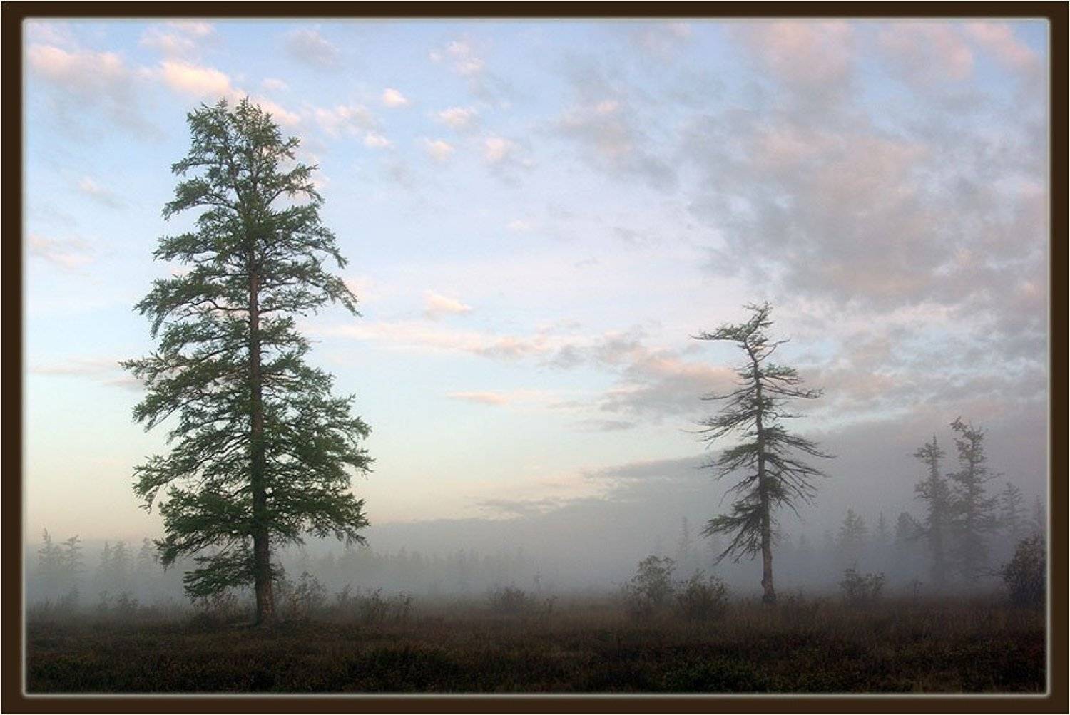 якутия,утро, Солодухин Виктор