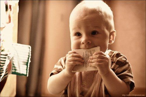 Про вкус знаний