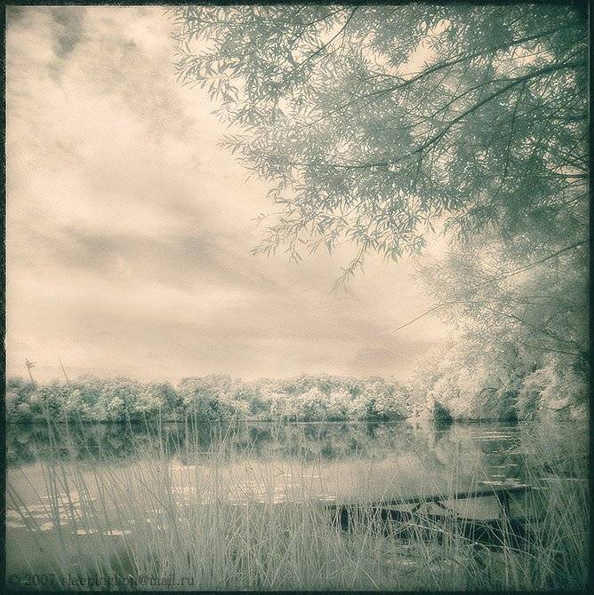 ик, пейзаж, infrared, инфракрасный, инфракрасное, pilgrim, Pilgrim